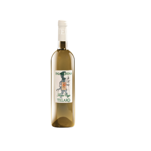FALANGHINA